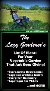 Lazy Gardener S Plant List Texas