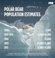 The Myth That The Polar Bear Population Is Declining