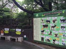 Animals Chart Picture Of Dusit Zoo Bangkok Tripadvisor