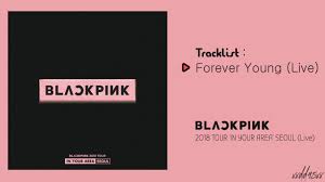 Custom blackpink always in your area mousepad by frizidan artistshot. Blackpink 2018 Tour In Your Area Seoul Live 02 Forever Young Live Youtube