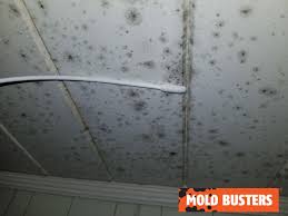mold in the shower is your home at