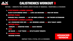 calisthenics workouts guide to