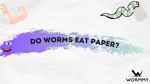 do worms eat paper cardboard
