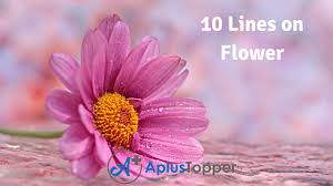 10 lines on flower for students and