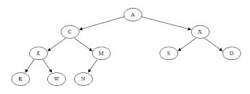 binary trees overview