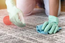how to disinfect carpet in simple but
