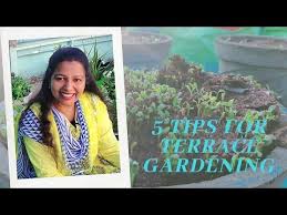 5 Tips For Terrace Garden Aadi Pattam