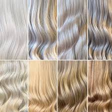 Google blonde hair, and you'll see a large number of hair photographs, none of which appear to be identical. The Best Hair Color Chart With All Shades Of Blonde Brown Red Black