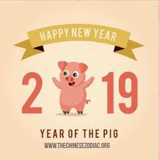 Image result for chinese new year pig
