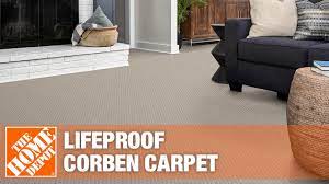 lifeproof corben carpet the home