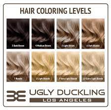 the ugly duckling hair color chart