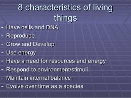 All living things share life processes such as growth and reproduction. What Are The 8 Characteristics Of Life Biology