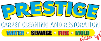 cleaning service ridgeley wv water