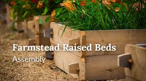 raised garden beds how to build