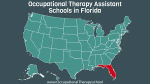 occupational therapy assistant schools