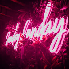 Signs Sunday Funday Led Neon Sign