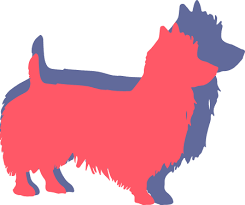 As with all dog breeds, you'll want to get your puppy used to getting their teeth brushed and nails trimmed early on. Australian Terrier Dog Breed Facts And Information Wag Dog Walking
