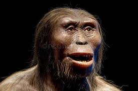 1,722 Neanderthal Photos - Free & Royalty-Free Stock Photos from Dreamstime