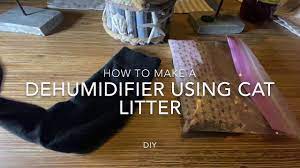 car interior using cat litter diy