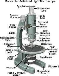 Polarized Light Microscopy Microscope Configuration