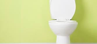 Buying a good toilet that flushes effectively is a decision that you will never regret. How To Buy The Best Flushing Toilet Stg Info Inc