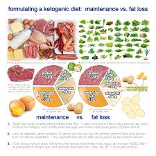 a ketogenic t maintenance vs fat