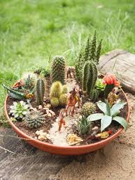 Ideas For Succulent Container Gardens