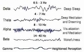 Understanding Delta Brain Waves And Sleep