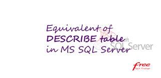 describe table in ms sql server