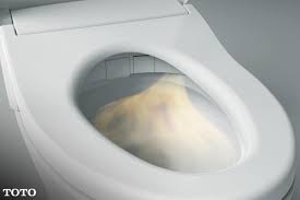 5 Benefits Of Heated Toilet Seats