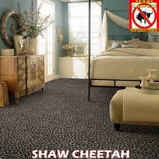 cheetah shaw