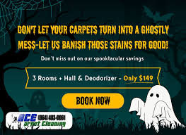 get a e ace carpet cleaning