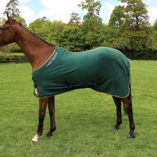 rugs celtic equine