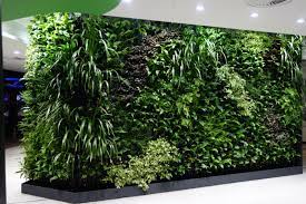 Green Plant Wall For Modern Homes And
