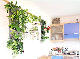 All You Need to Know About Vertical Garden