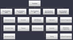 Organizational Structure Design Strategic Executive Services
