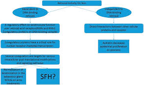 Flow Chart Form Diagram For The Hypothesis Posed Regarding