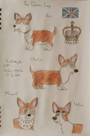 Activities  edit  pembroke welsh corgis can compete in dog agility trials, obedience , showmanship , flyball , tracking , and herding events. The Queen S Corgis By Jeanettewong98 On Deviantart