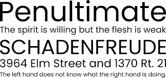 Poppins Font Free By Indian Type Foundry Font Squirrel