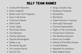 140 silly team names that are funny 2024