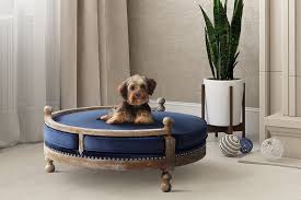 pet friendly couches furniture for