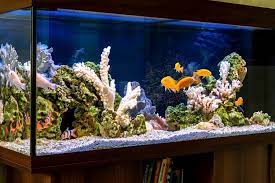 75 gallon aquarium guide size