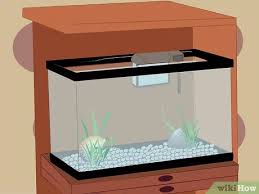 How to Set Up a 10 Gallon Tropical Aquarium: 9 Steps gambar png