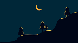 minimalist night forest chill 8k