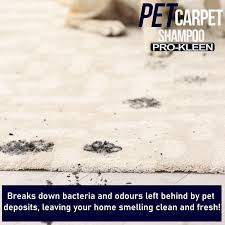 carpet cleaning shoo odour remover