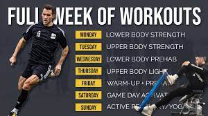 my complete weekly gym routine during