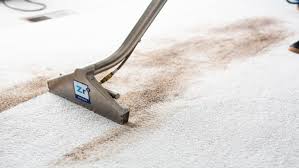 perth carpet cleaning smart senior