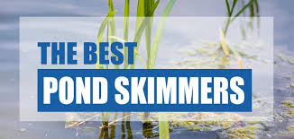 Best Pond Skimmer 2023 Reviewed