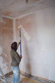 the only way to paint new plaster