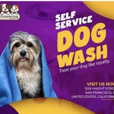 best dog nail t services near me